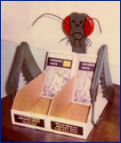 Praying Mantid Tabletop Display