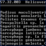 Food Webs of Insects and Their Kin