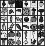 Computerized Vegetable Gardening